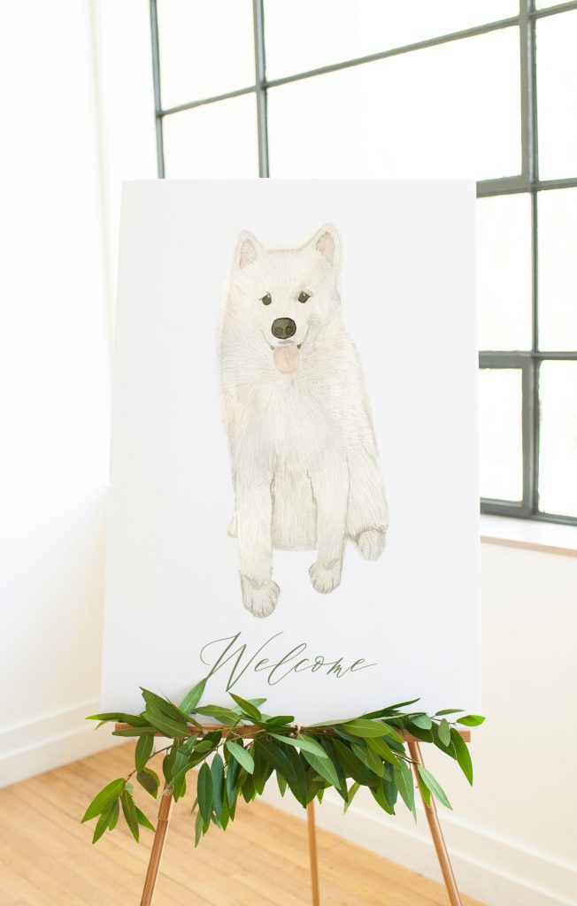Include your pet in your wedding with a watercolor pet portrait. Here, Hoover, a beautiful Samoyed, welcomes his family's guests to the wedding reception.