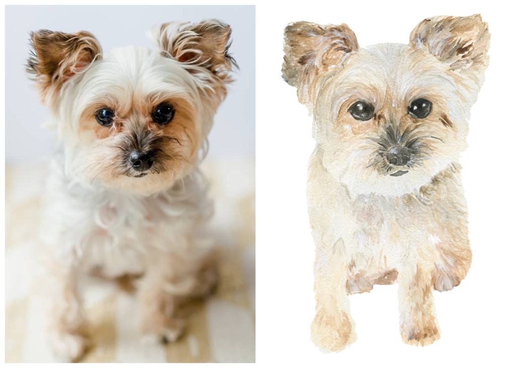 On the left, a photograph of a Yorkipoo. On the right, a watercolor painting of a Yorkipoo by watercolor artist Alicia Betz of The Welcoming District.