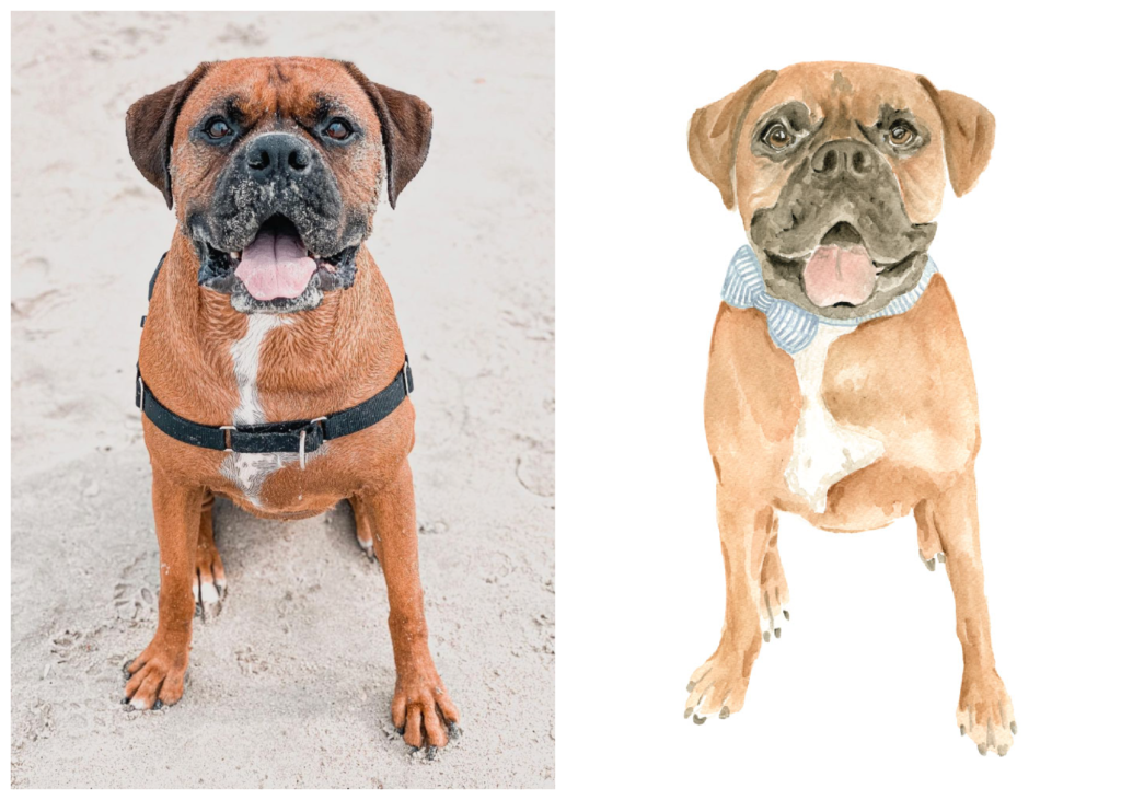 On the left, a photograph of the cutest Boxer pup at the beach. On the right, his watercolor pet portrait by artist Alicia Betz of The Welcoming District.