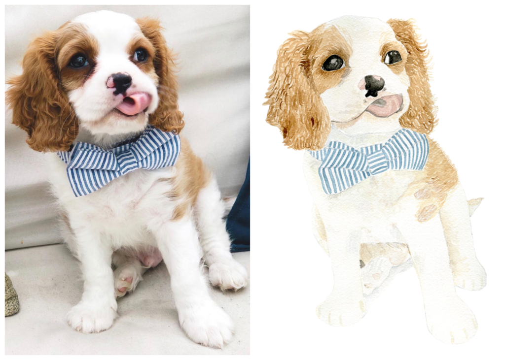 A Cavalier King Charles Spaniel photo on the left and a watercolor pet portrait by Alicia Betz of The Welcoming District on the left.